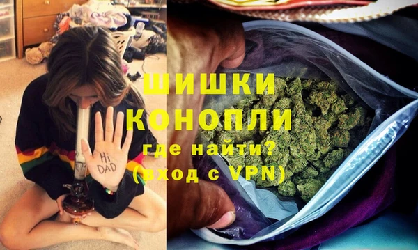 сатива Володарск